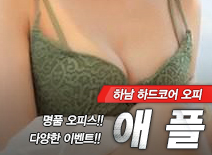 오피스타 | [하남오피-애플]
