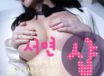 오피스타 | [일산건마-서연1인샵]