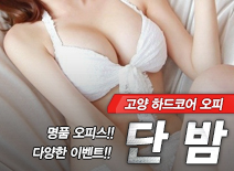 오피스타 | [고양오피-단밤]