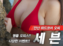 오피스타 | [안산오피-세븐]