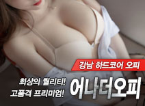오피스타 | [강남오피-어나더오피]